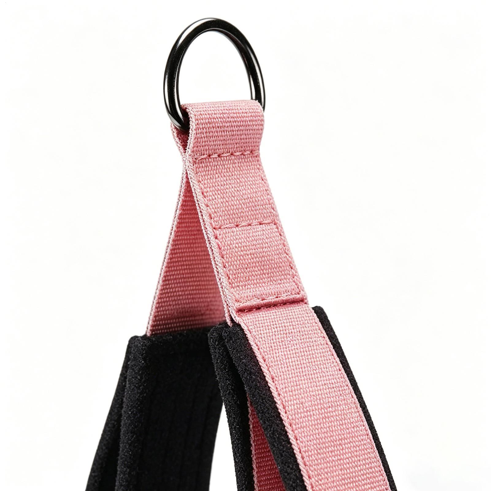 Pilates Straps D-Ring 2 Pieces - Pilates Yoga Class ulasan dan harga